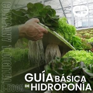 Guía Básica de Hidroponía