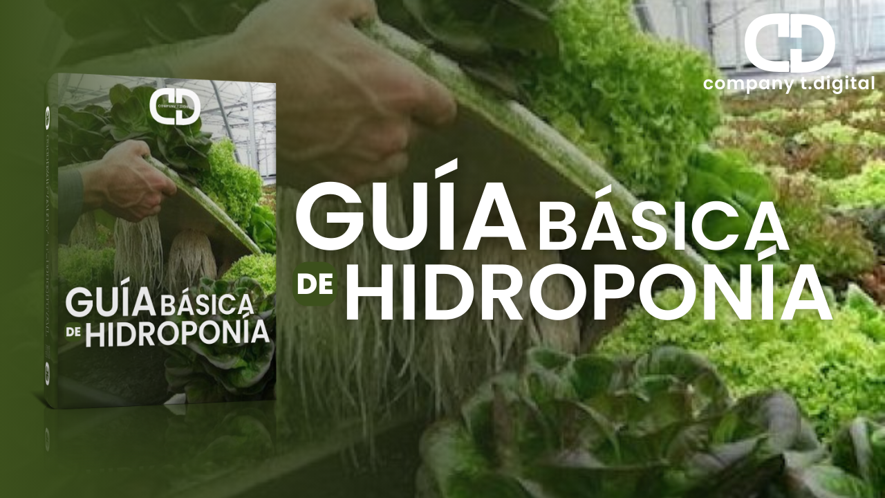 Guía-Básica-de-Hidroponía