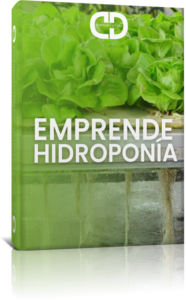 Emprende-Hidroponía