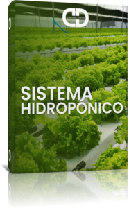 Sistema-Hidropónico