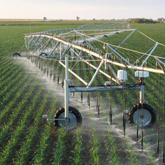 Nicho Agropecuario