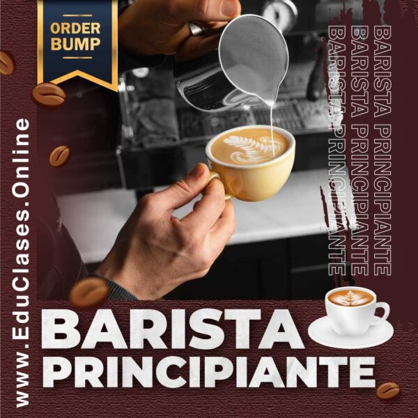 Barista-Principiante