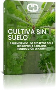 Cultiva_Sin_Suelo