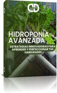 Hidroponía_Avanzada
